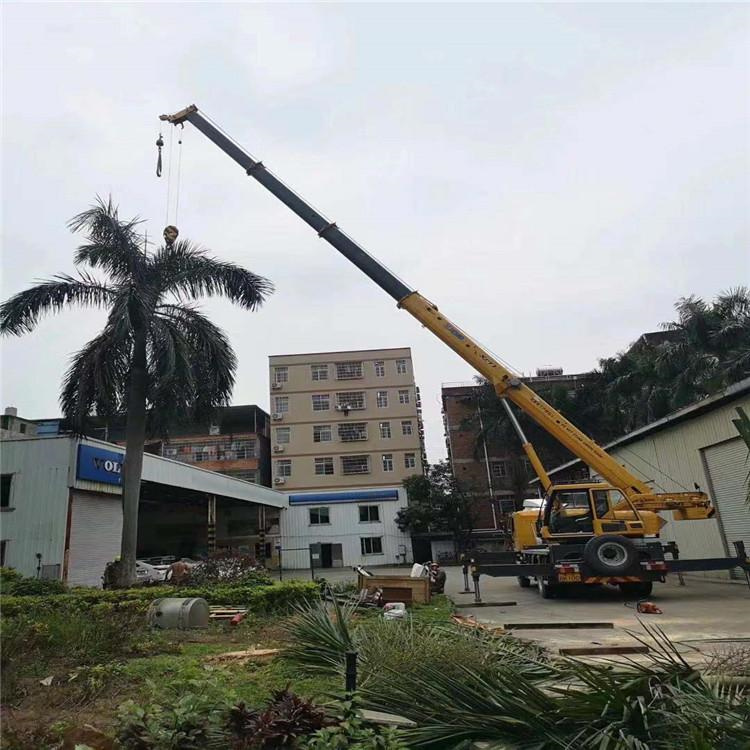 新洲汽车吊出租多少钱？全面解析与市场行情