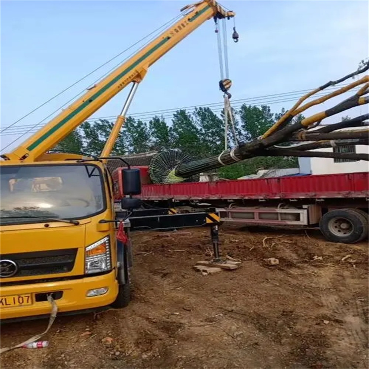 新洲100吨吊车租赁费用怎么算？3大关键因素+省钱技巧全解析